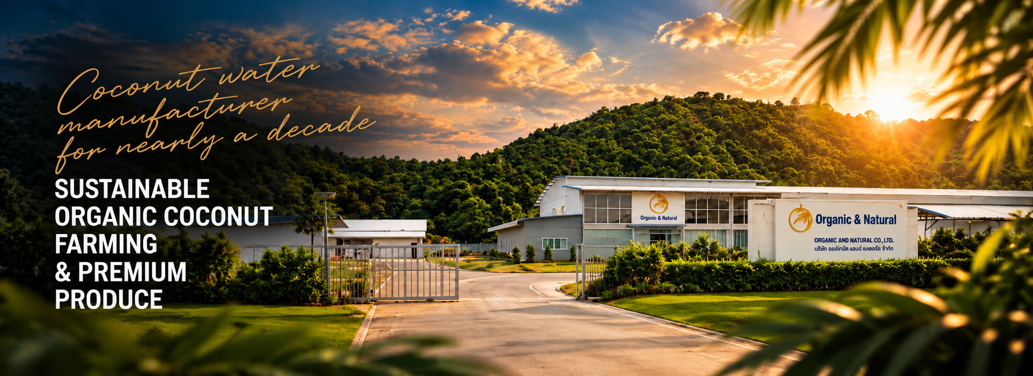 Golden Hour Organic Coconut Facility